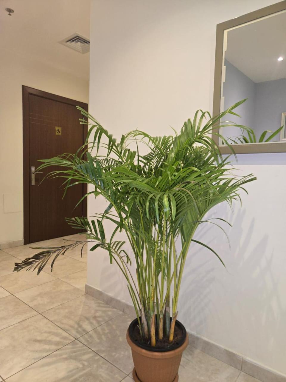 Al Raya Hotel Apartments Dubai Exterior photo